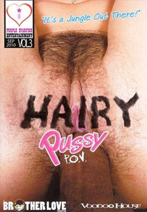 Hairy Pussy POV Vol. 3