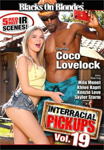 Interracial Pickups Vol. 19