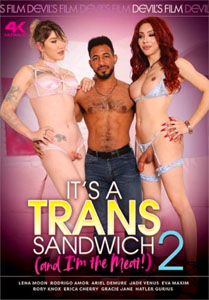 It’s A Trans Sandwich Vol. 2
