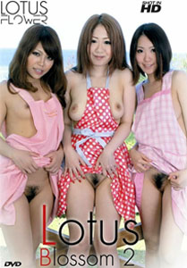 Lotus Blossom Vol. 2