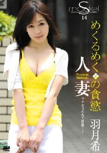 S Model Vol. 14 [SMD-014]