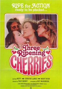 Three Ripening Cherries